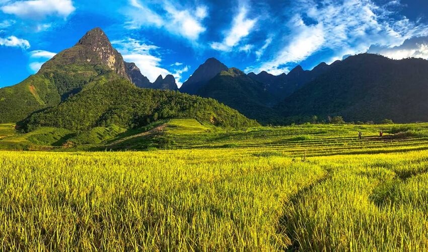 Parc national de Hoang Lien abrite l'emblématique pic Fansipan