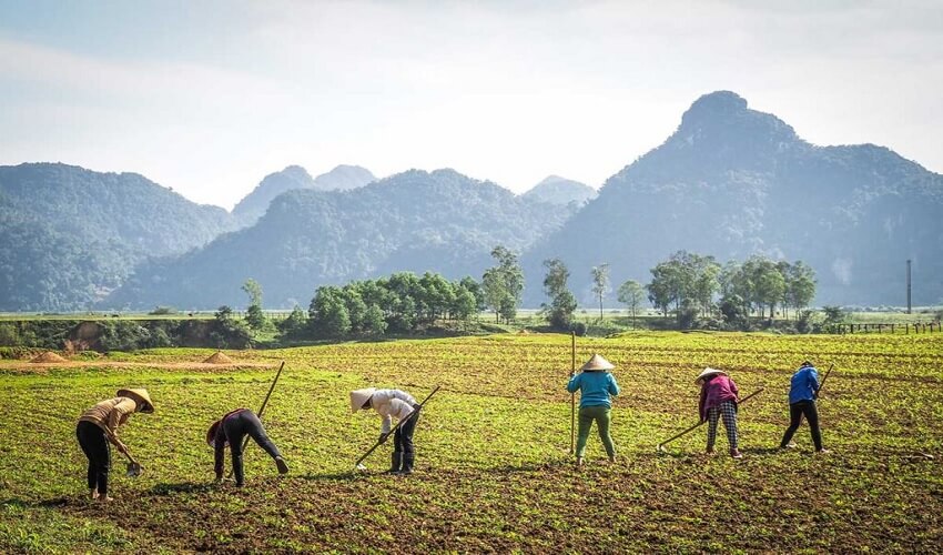 Quang Binh se visite durant la saison sèche