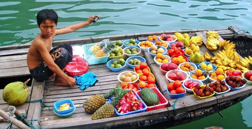 Croisière journalière vous donne un aperçu de la baie