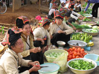 Voyage Vietnam nord