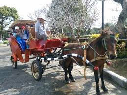 voyage au Vietnam