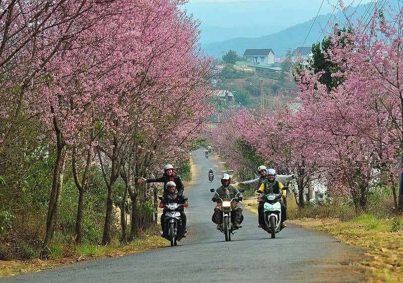 Top-10-meilleures-excursions-à-moto-au-Vietnam