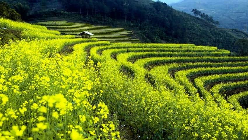 Voyager-au-Vietnam-en-été