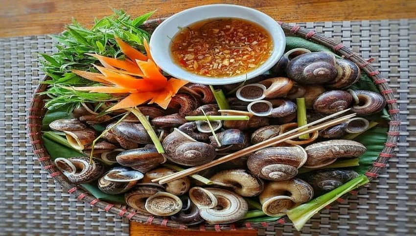 L'escargot_de_la_montagne
