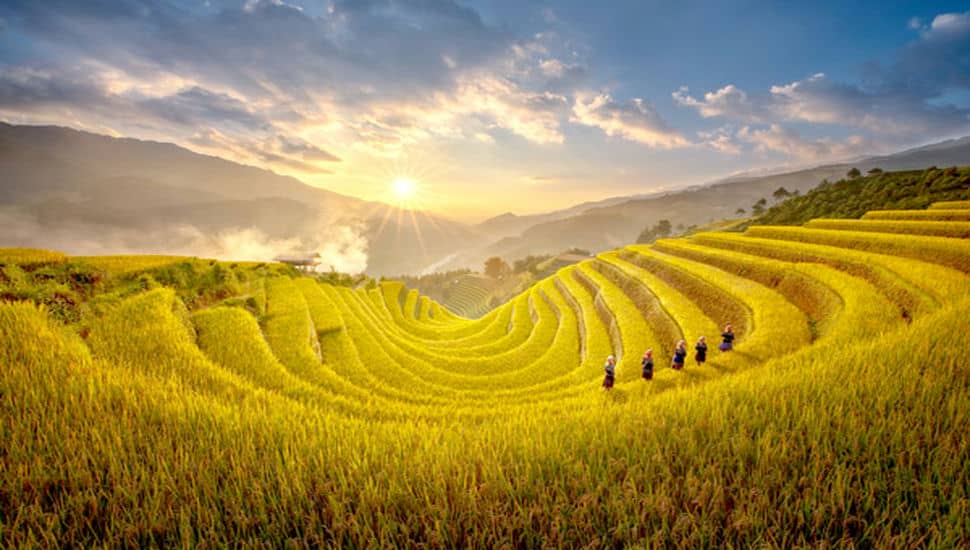 Le_panorama_de_Mu_Cang_Chai